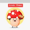 Linh Thao US In-Stock Wholesale Warehouse