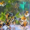 Phan Rang Aquarium Lovers Group