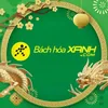 BHX 416 PHƯỜNG 10 (NGÃ 3 BÌNH PHÚ-LÝ CHIÊU HOÀNG )