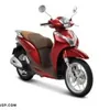 Link Share Vehicle Financing