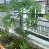 Bất Động Sản 24s