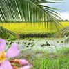 BĐS TRAO ĐỔI HÀNG CHÍNH CHỦ