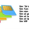 Beautiful Sim Cards Community