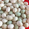 Cộng Đồng Bình Tân