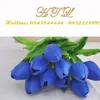 GROUP SIM CTV GROUP MR SƠN