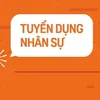 Việc làm TP HCM