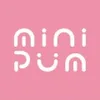 Mini Pum