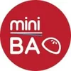 Mini BAO