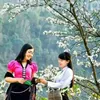 HỘI CHỢ ONLINE MUA BÁN DƯỢC LIỆU - ĐẶC SẢN TÂY BẮC